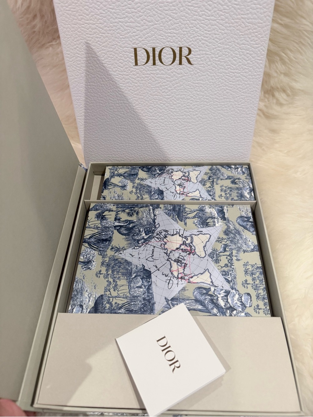 Dior Around the World Office Set